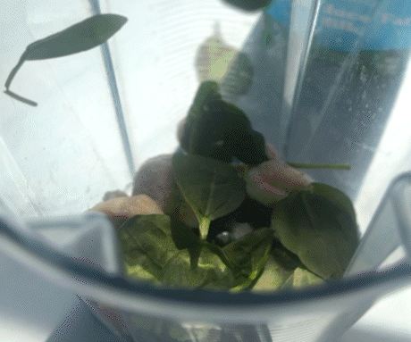 Green Shamrock Smoothie gif image