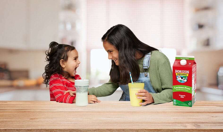 Horizon Organic Lactose-Free Milk