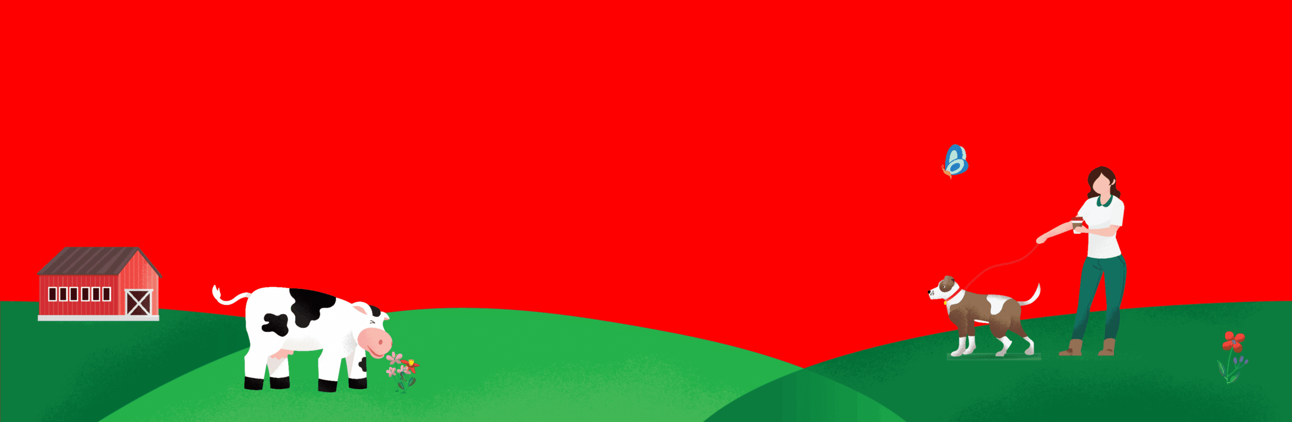 Organic Real Dairy Creamer